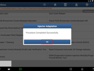 LAUNCH X431 PAD V ELITE Injector Adaptation on FIAT Pulse (8)